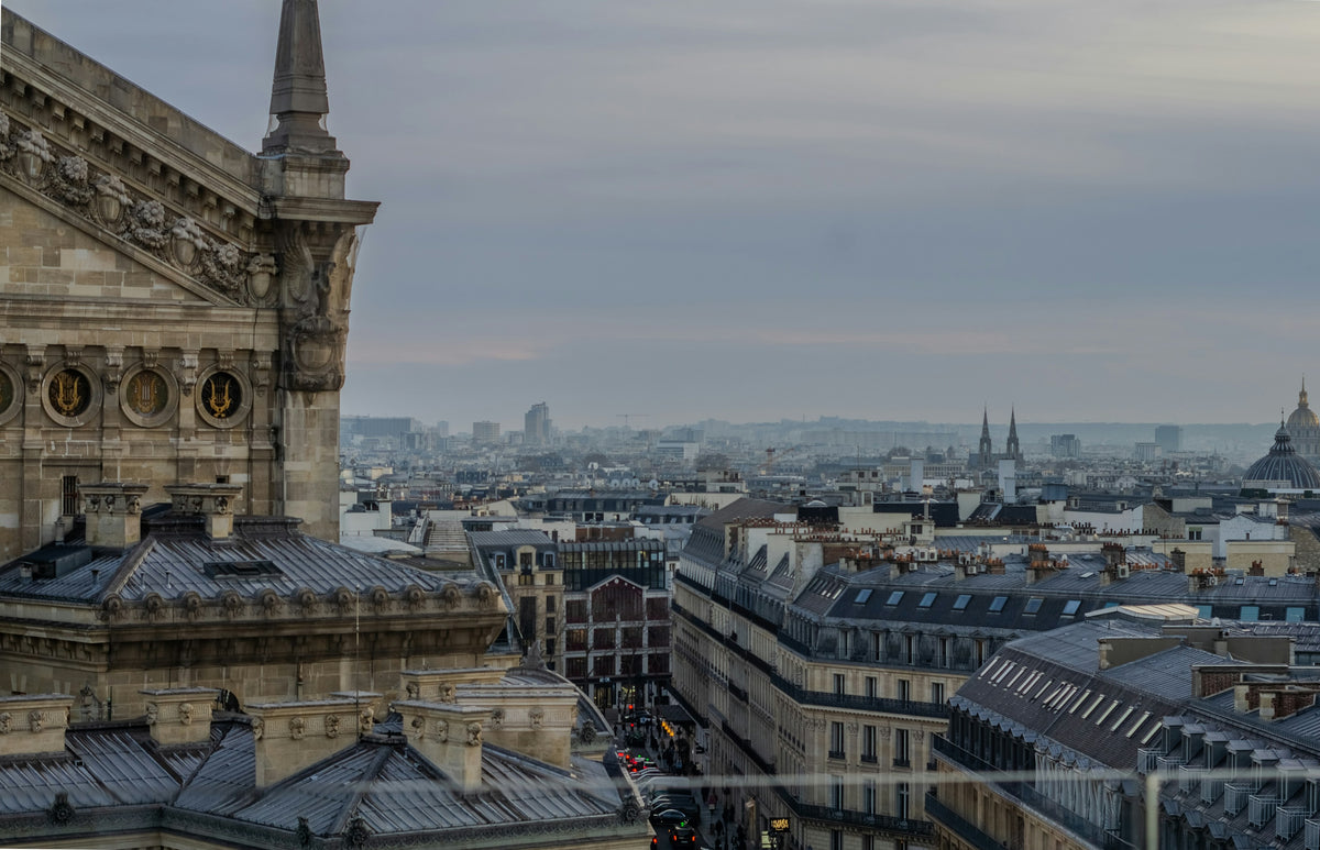 Paris rooftops under a grey sky